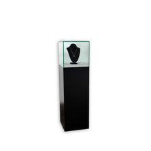 Frameless Pedestal Case – Large
