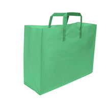 Soft Loop Handle Frosted Bag - 16" x 12" x 6"