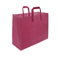 Soft Loop Handle Frosted Bag - 16" x 12" x 6"