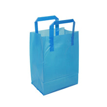 Soft Loop Handle Frosted Bag - 8" x 10" x 5"