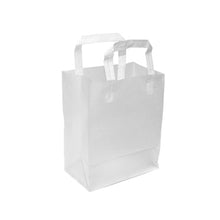 Soft Loop Handle Frosted Bag - 8" x 10" x 5"