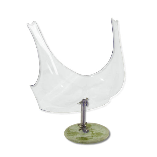 Bra Display with Base