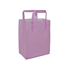 Soft Loop Handle Frosted Bag - 8" x 10" x 5"